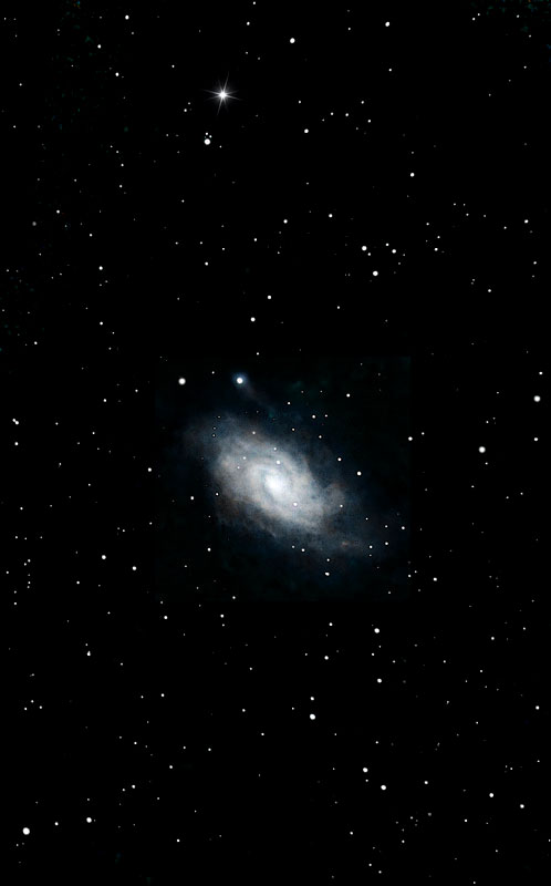 01/30/2025 Central Florida, Seestar S50, NGC 2403, a Spiral Galaxy