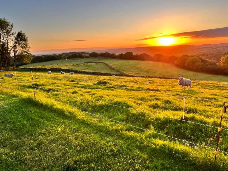Meet the lovely Jo who works... - Padwick Farm Grazing | Facebook
