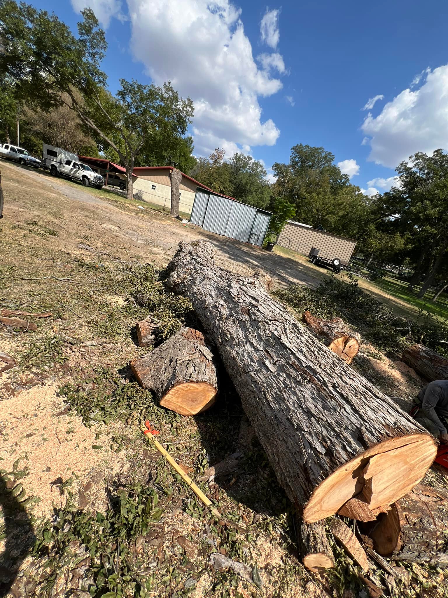 Manuel’s Tree Service | San Antonio TX