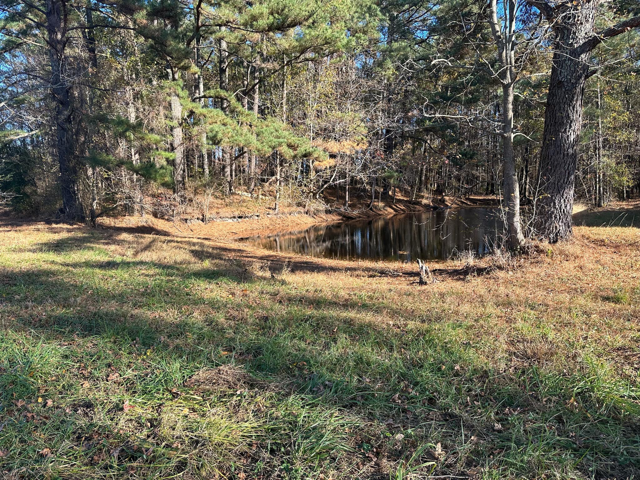 Crepe Myrtle Acres Horseback Riding | Angier NC
