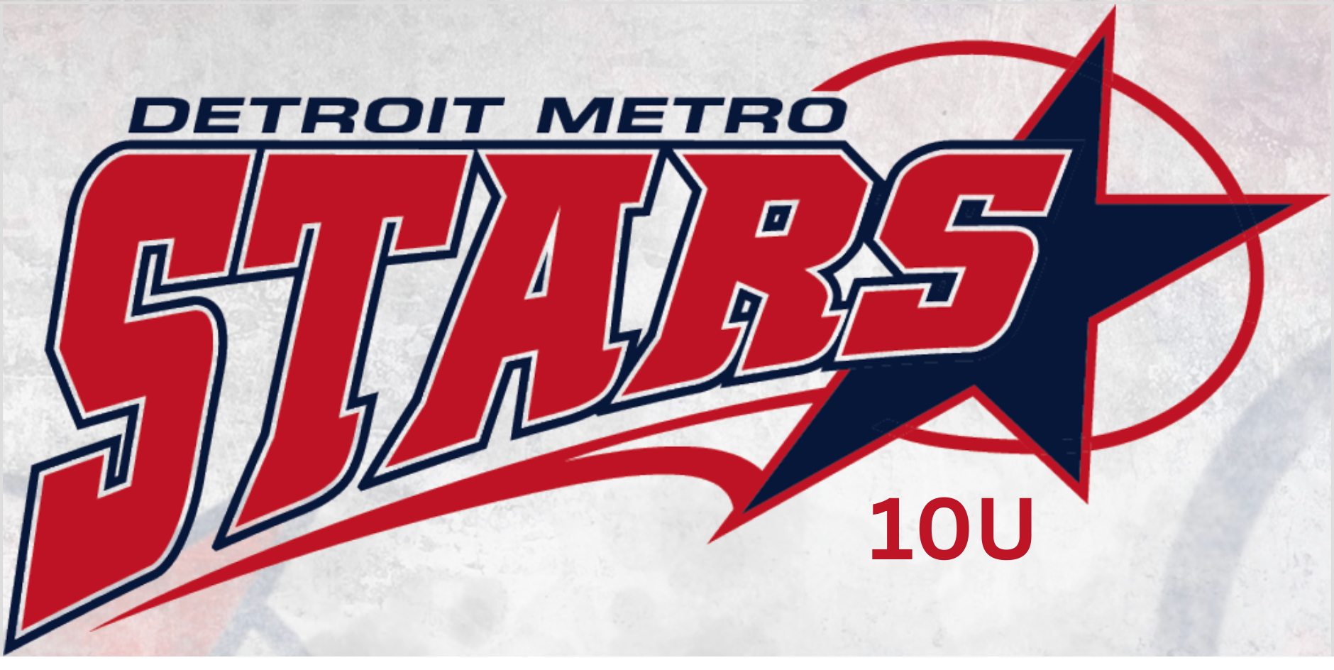 10U Detroit Metro Stars
