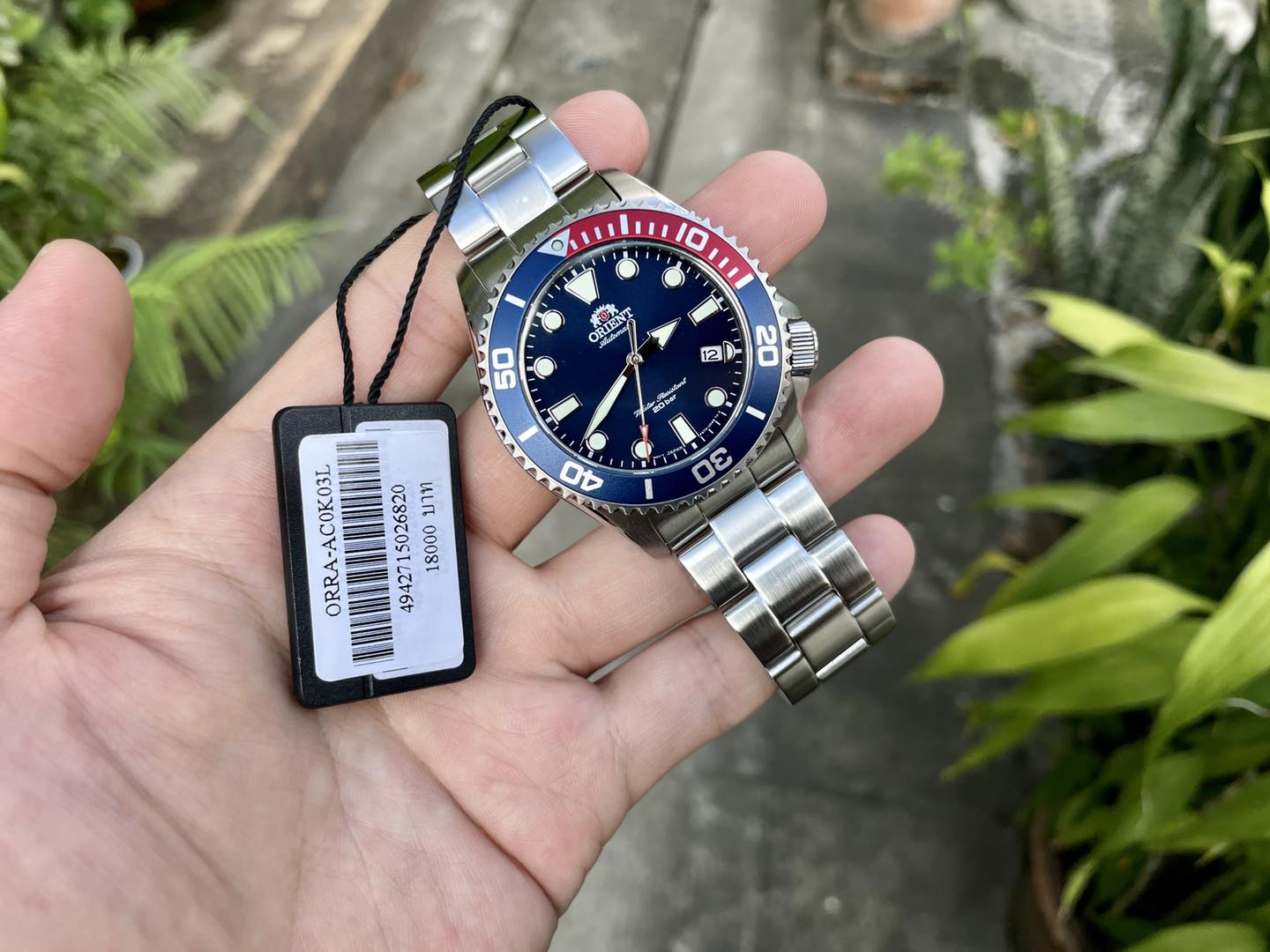 Wimol Tapae - Orient Diver 200m รุ่นขอบยัก... | Facebook
