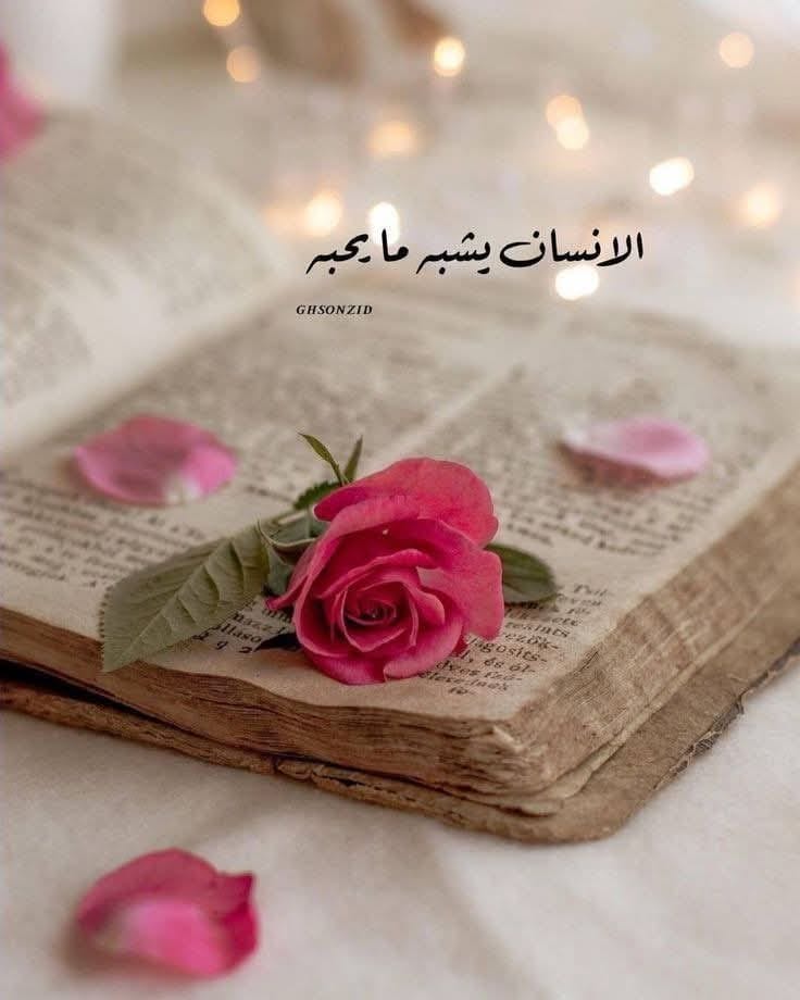 المطبخ دا لعبتى