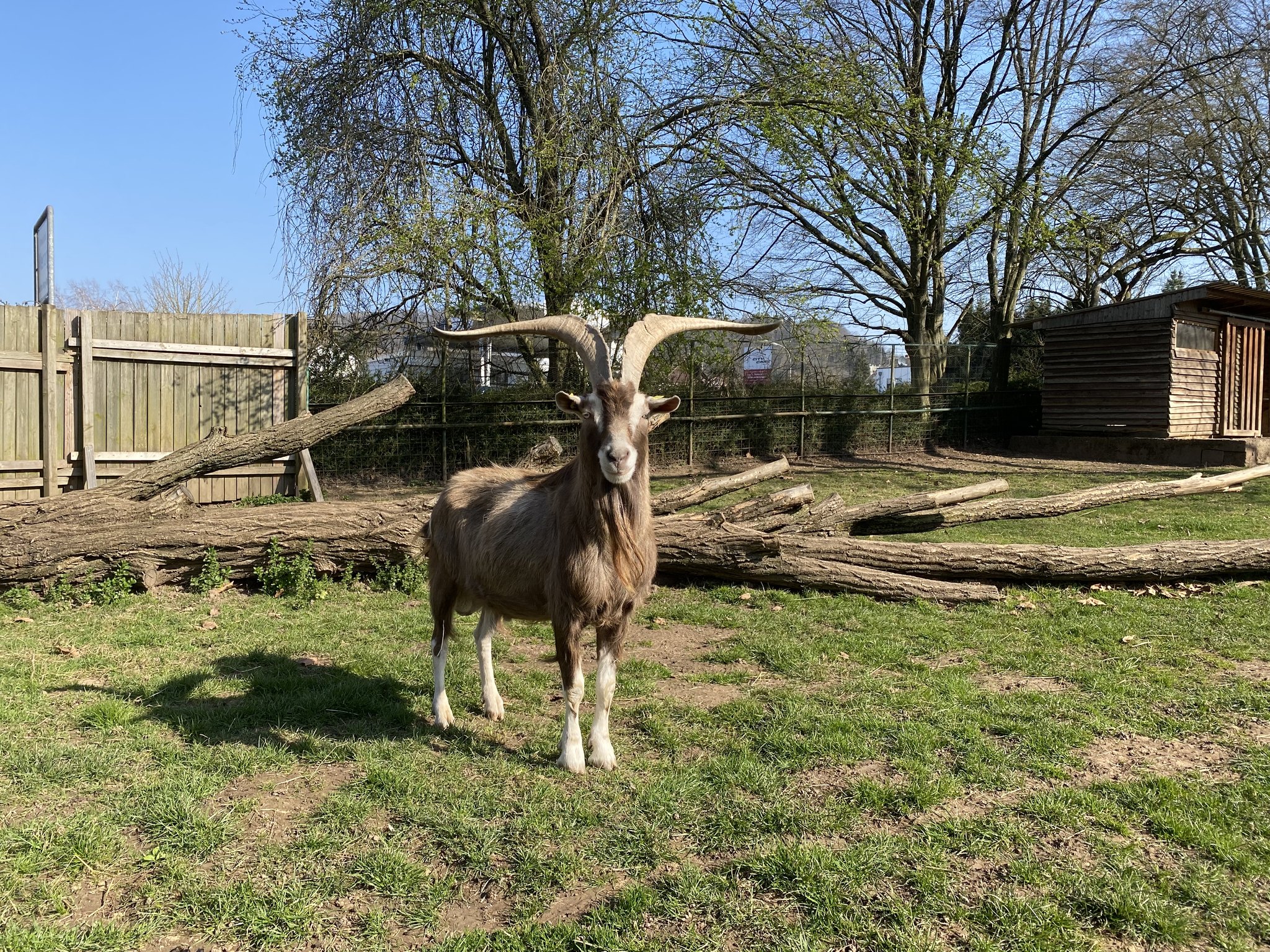 IFG Tierpark Merzig e.V.