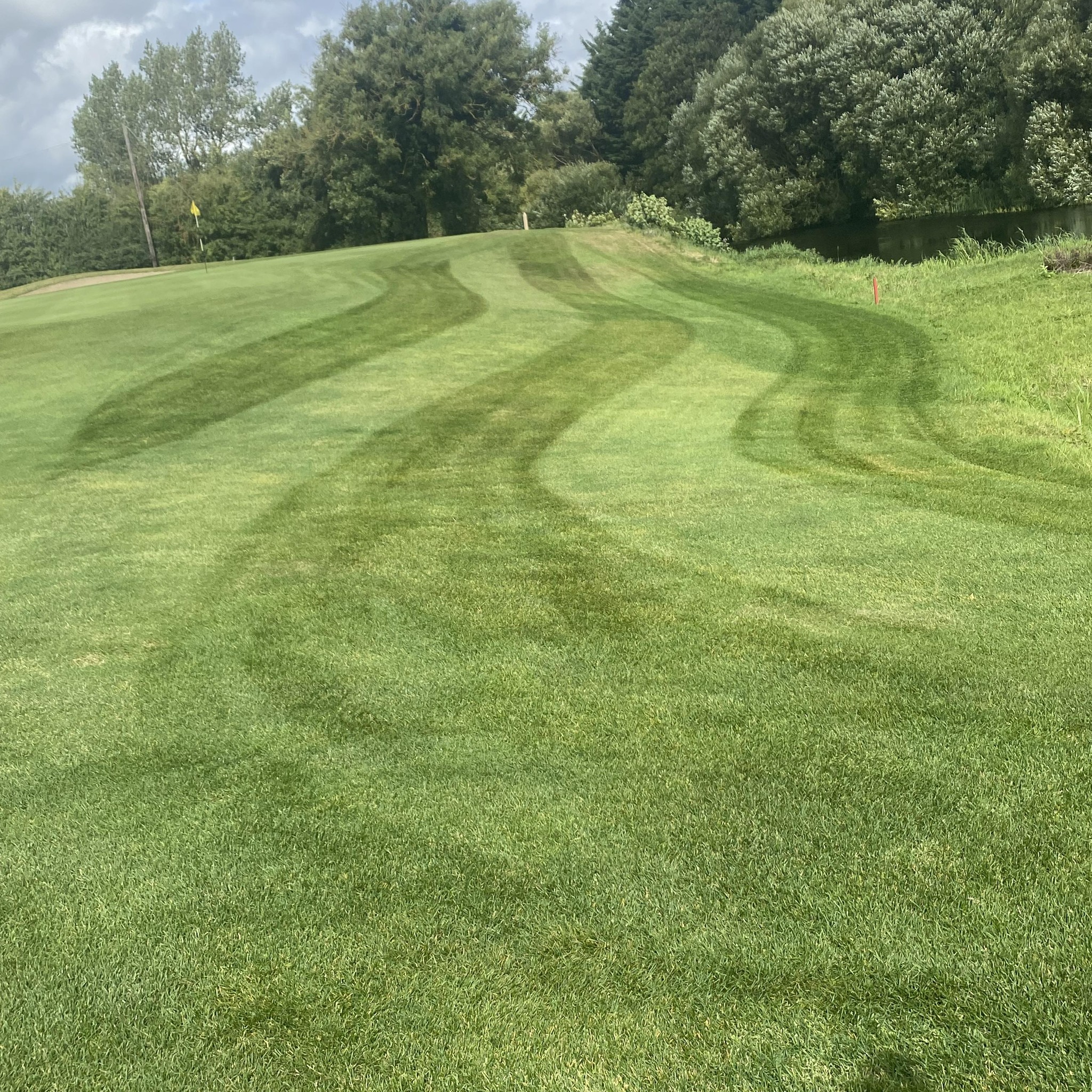 Morris Landscaping & Maintenance