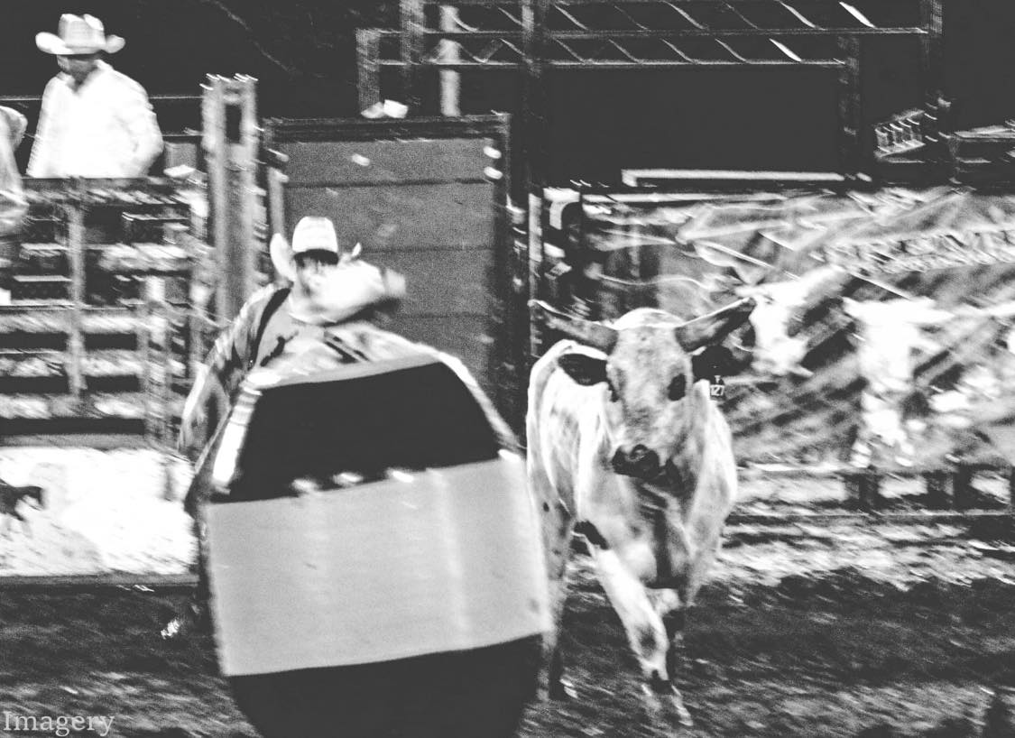Jay Martin Pro Rodeo Clown / Barrelman / Entertainer