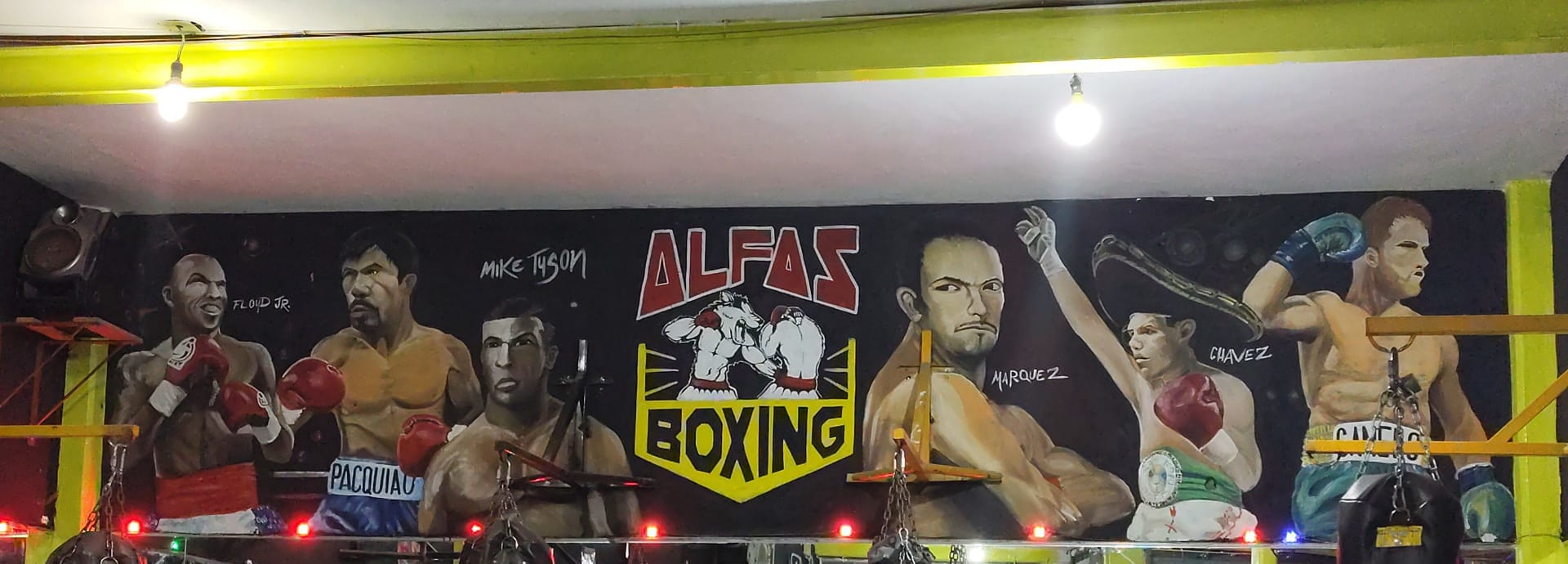Beast Boxing - Stel je voor... 💭 Je bent helemaal klaar voor je eerste ...