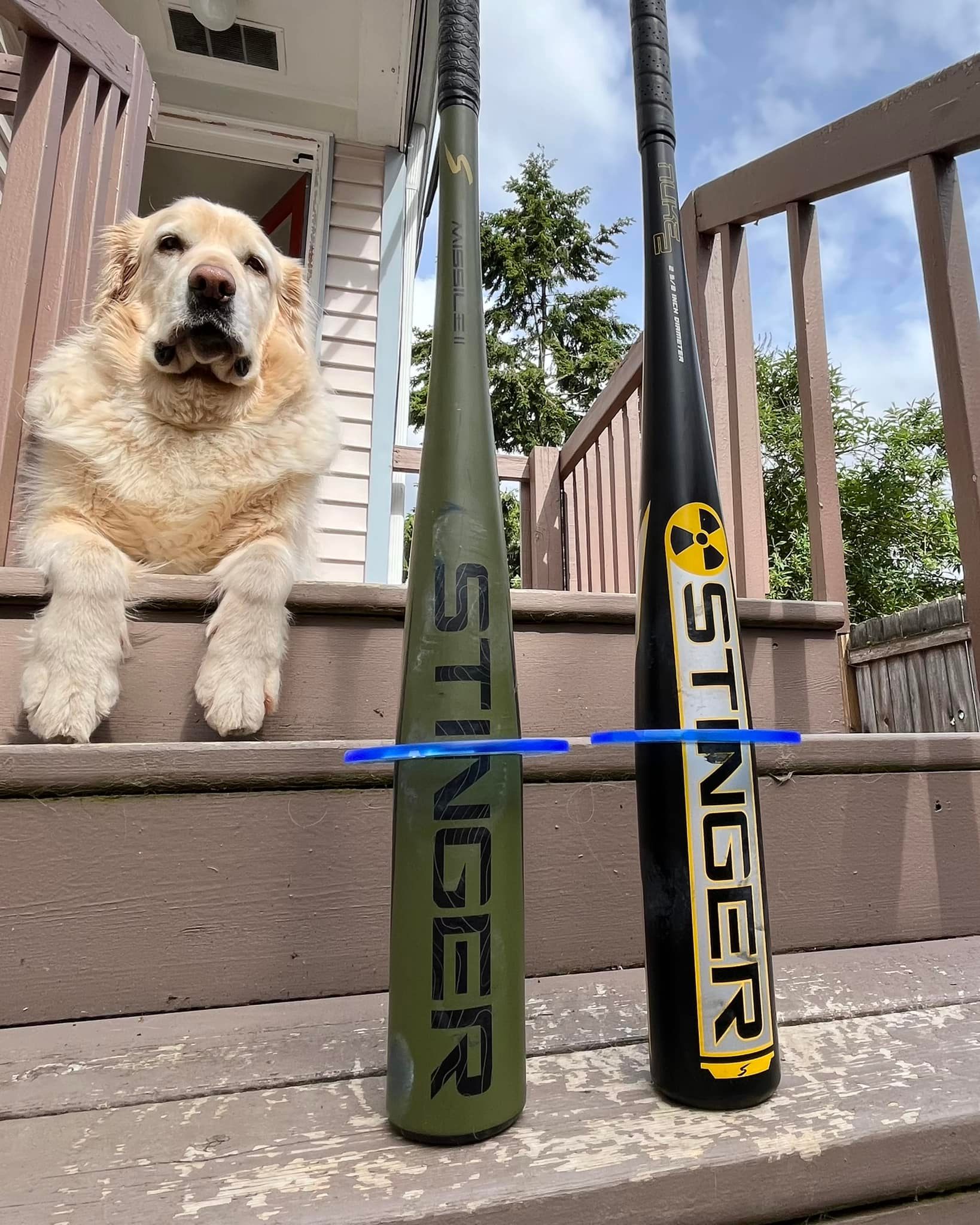 The Baseball - These barrel profile measurment rings are a fun tool and ...
