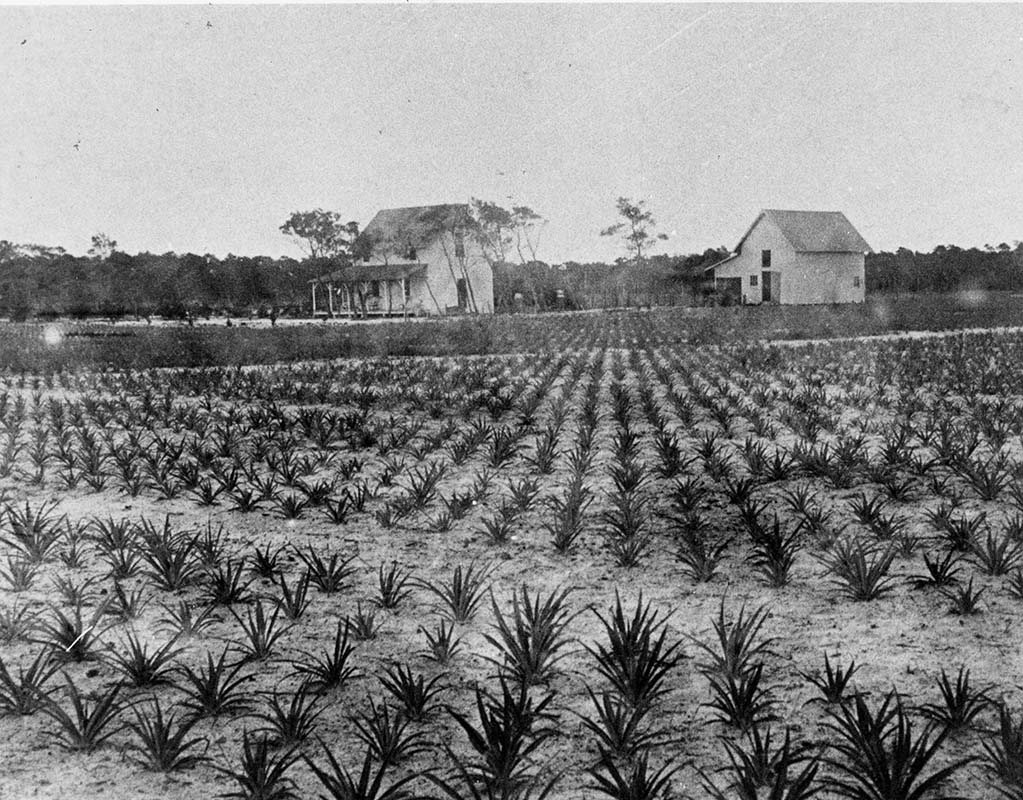 Boca Raton Historical Society - Home