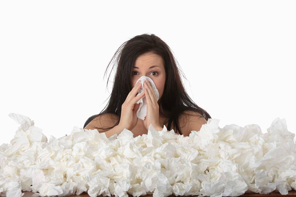 Alpha Air Systems - Allergies and Asthma getting you down? Most of us ...