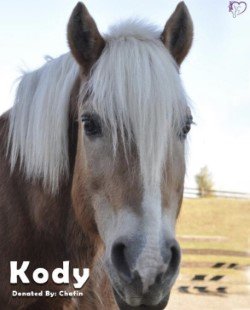 With a heavy heart, we announce... - Discovery Riders Inc.