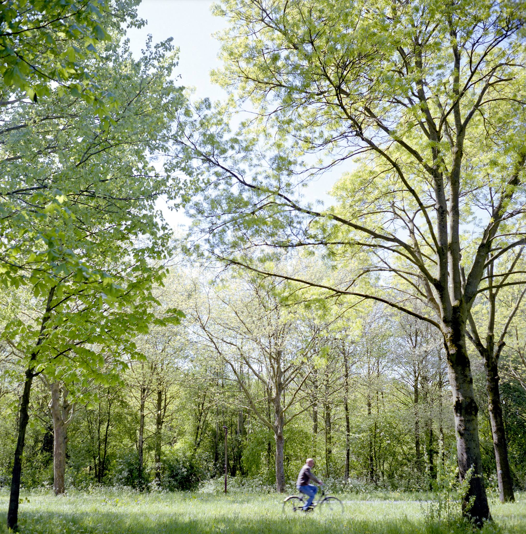park-park-oudegein-het-chte-geheim-van-nieuwegein