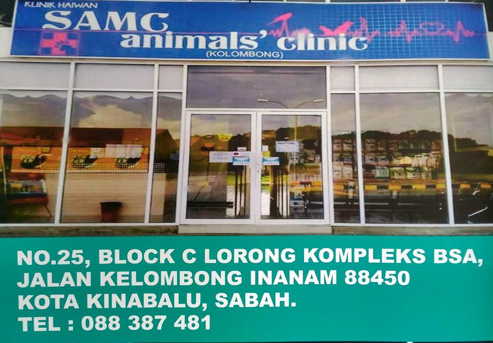 Samc Animal Clinic Kolombong Photos Facebook