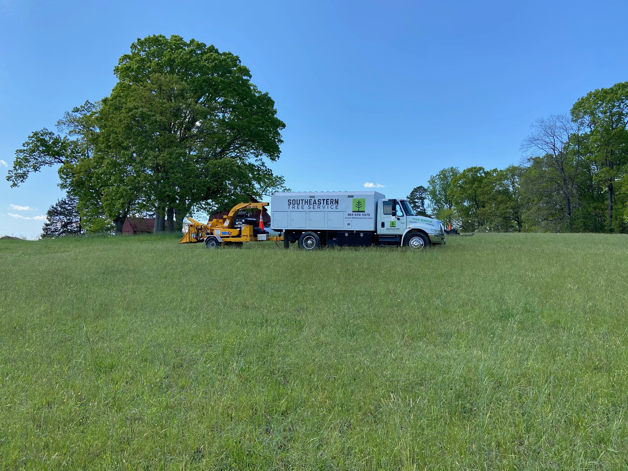 Southeastern Tree Service | Greenville SC