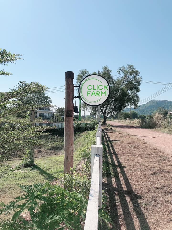 Click Farm - 🥬 ทานผักอะไรดีน้า มีเยอะมาก... | Facebook