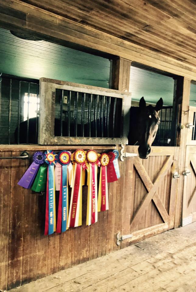 Windy Ridge Stables | Middletown CT