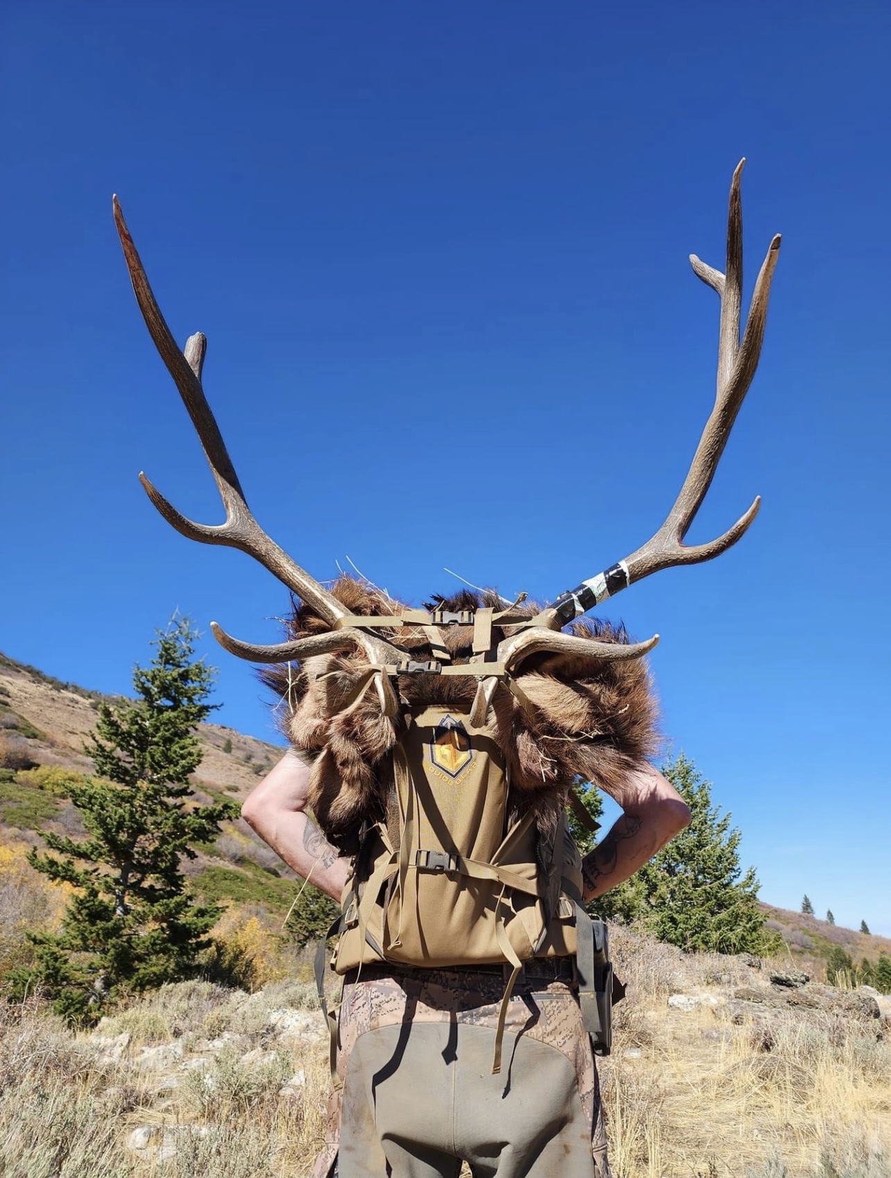 Blacks Creek Guide Gear - Eldon Williams on the way out with a Bull Elk ...