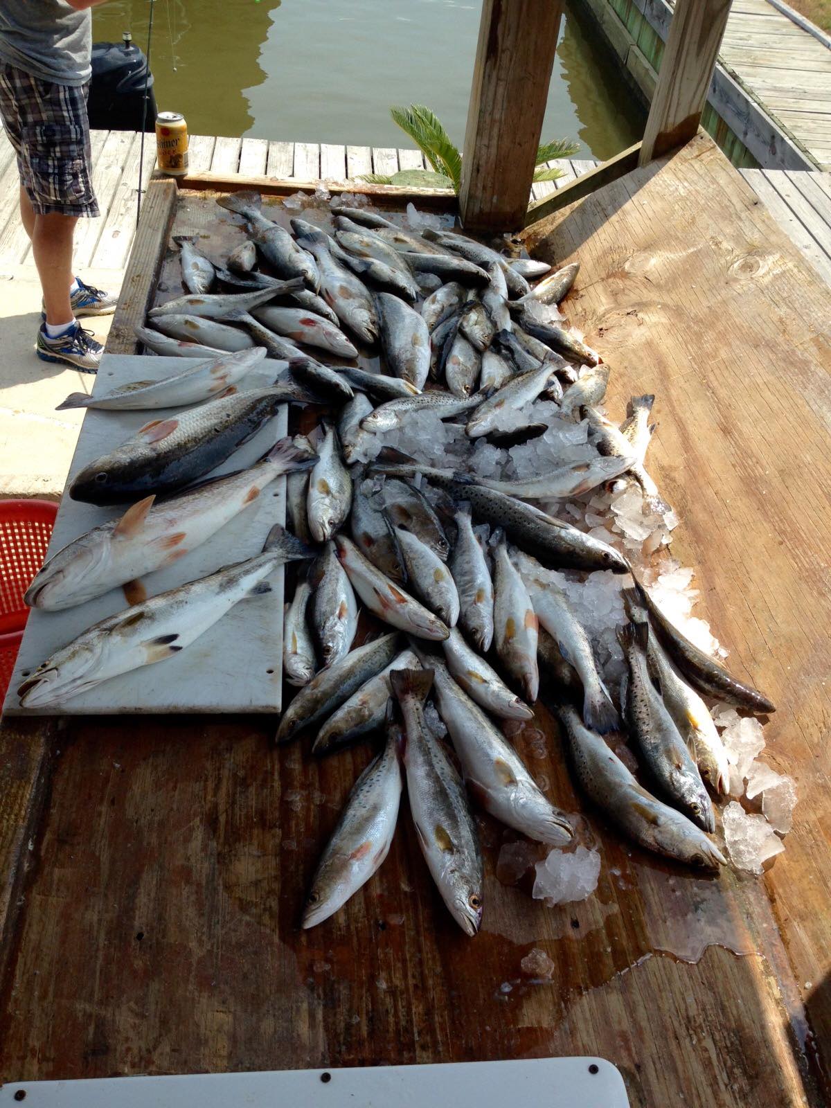 The Boat Guys - The Boat Guys added a new photo.