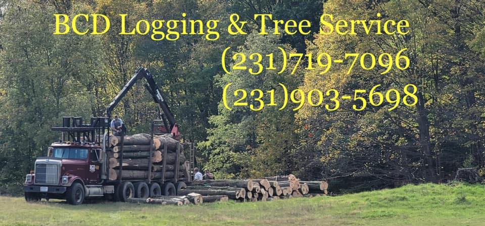 BCD Logging & Tree Service LLC