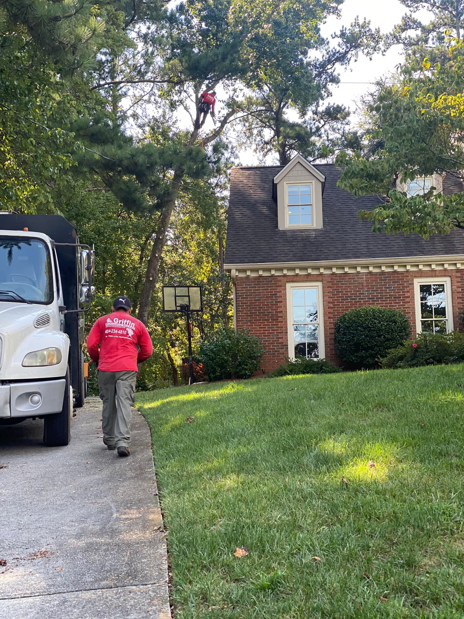 Griffin Tree Service INC | Alpharetta GA