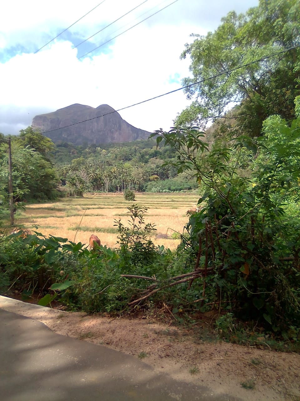 බෝකර් මහත්තයා Broker Mahaththaya LK House Land Apartment | Matale ...
