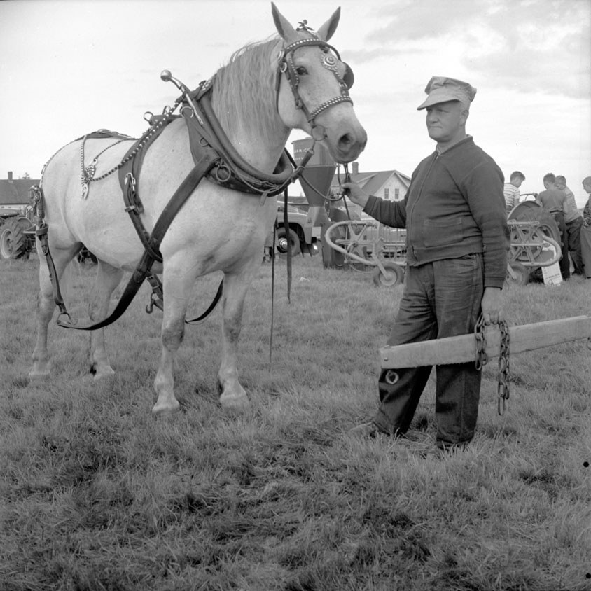 Digby - The Maple Leaf Agricultural Society annual exhibition. Digby ...