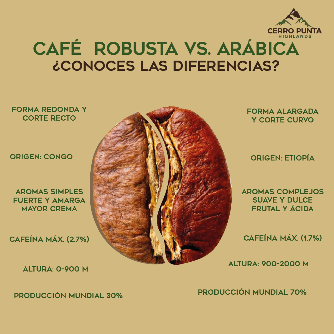 Cerro - ¿Conoces las principales diferencias entre el café de la ...
