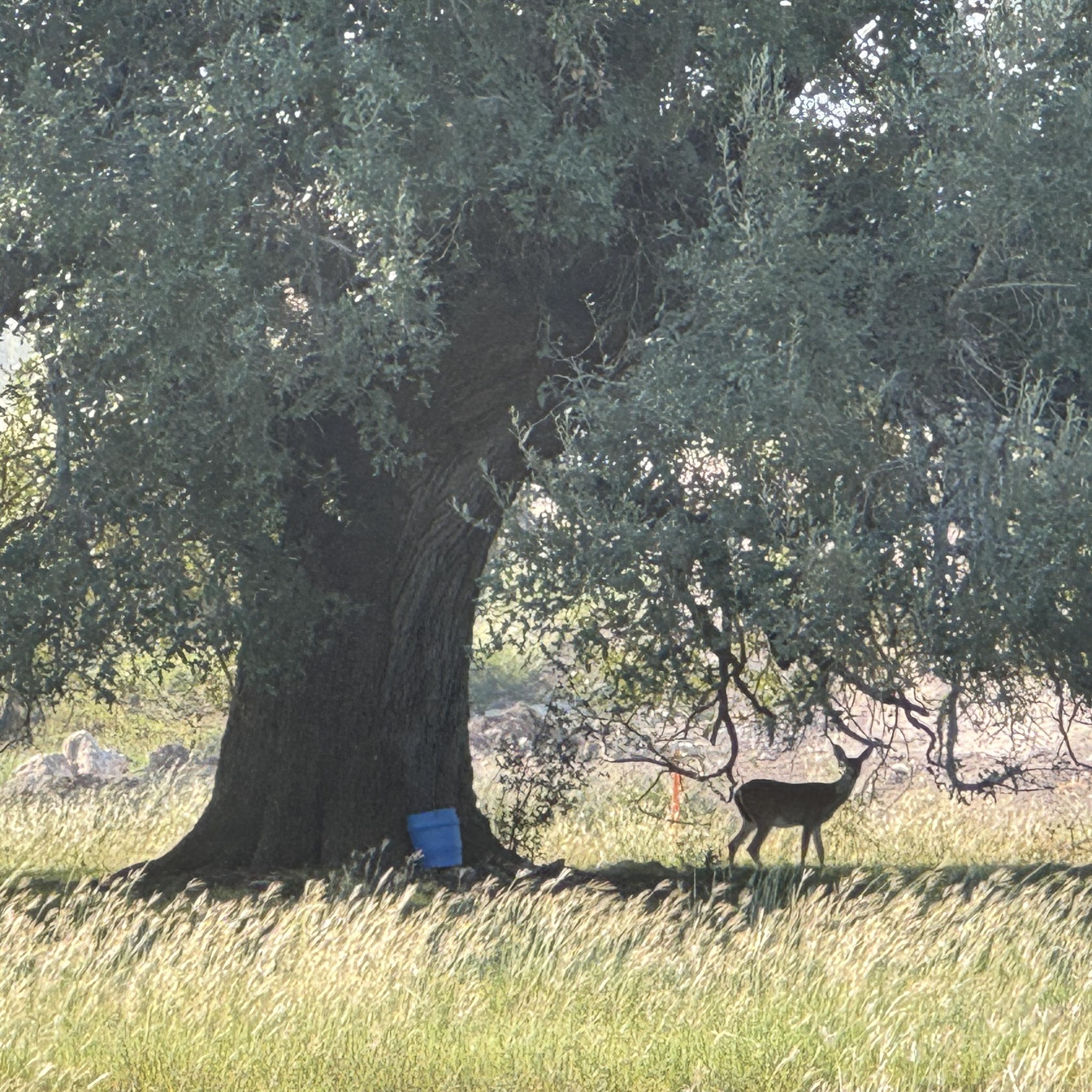 Kerby Ventures Ranches