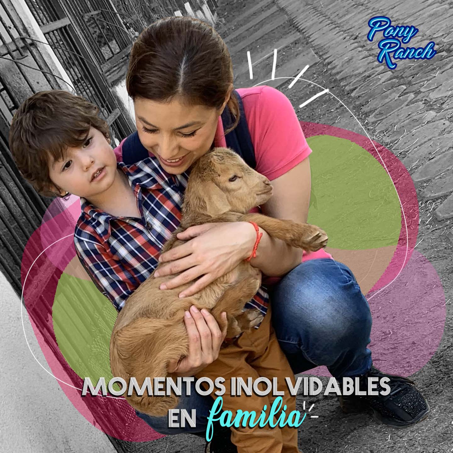 ¡Crea recuerdos... - Granja Didactica - PONY RANCH