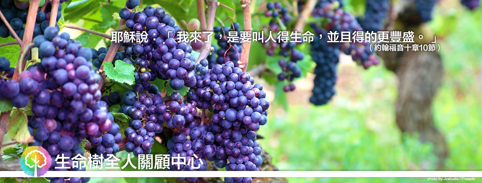 皇冠呂宋芒專門店 - 專營菲律賓呂宋芒批發及零售 added... - 皇冠呂宋芒專門店 - 專營菲律賓呂宋芒批發及零售