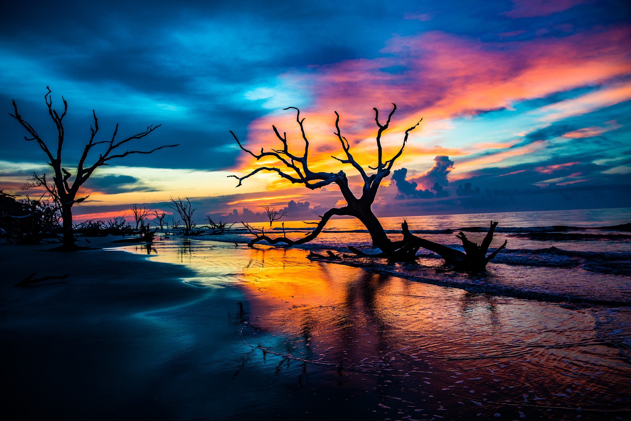 Brett Wilburn,... - Cape Romain National Wildlife Refuge