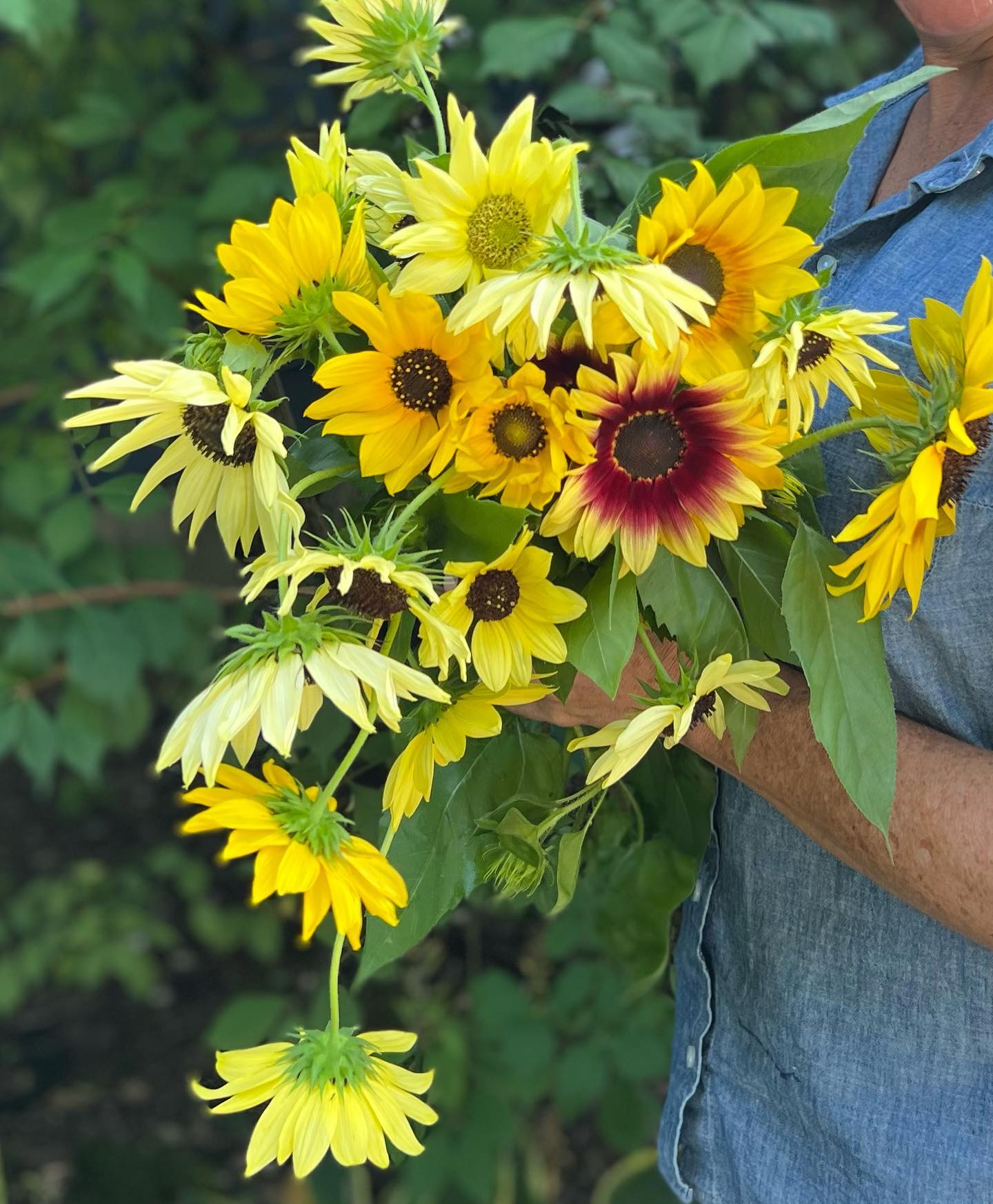What are favorite sunflower varieties for bouquets with smaller heads?