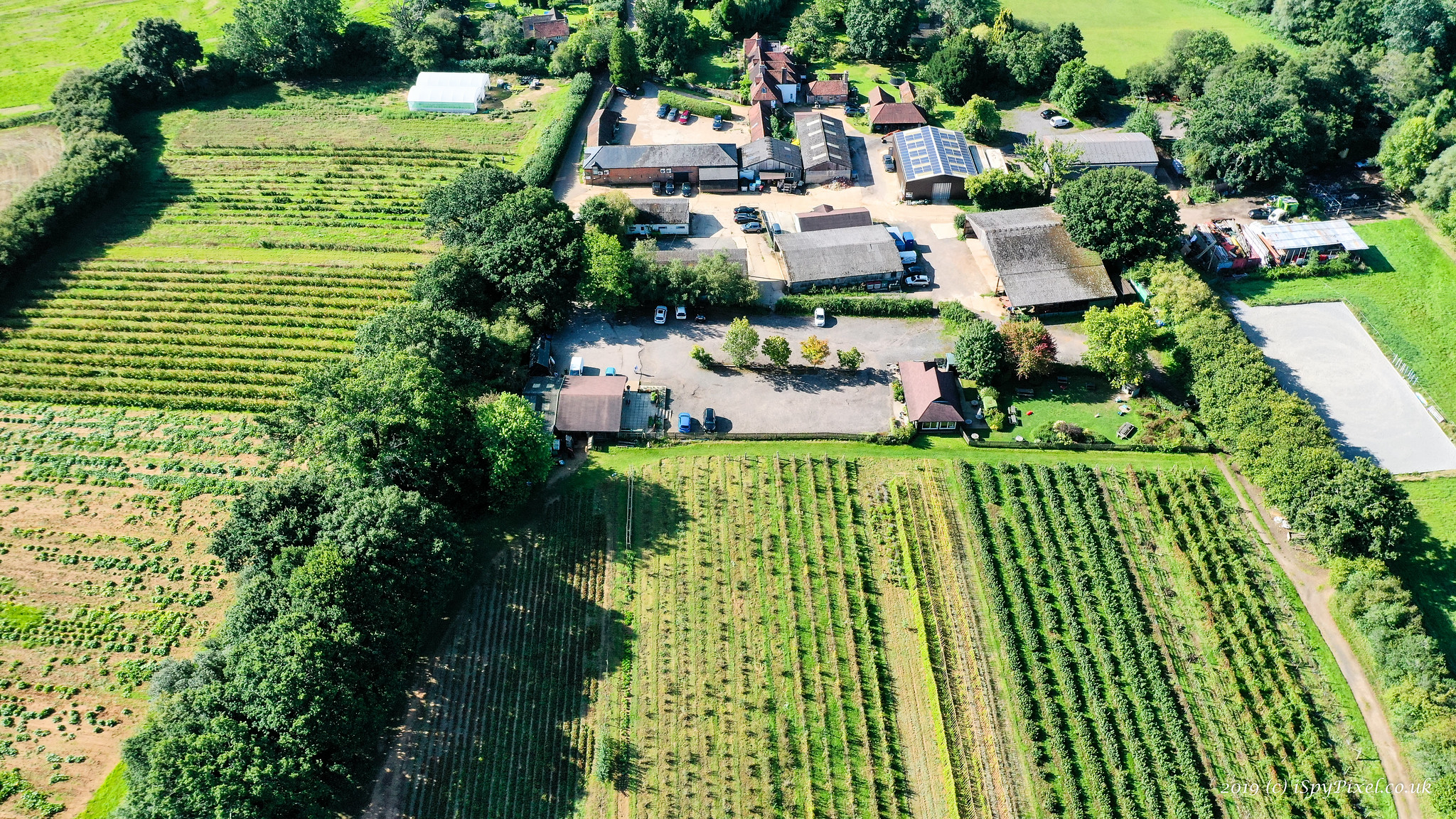 Durleighmarsh Farm - PYO & Farm Shop | Petersfield