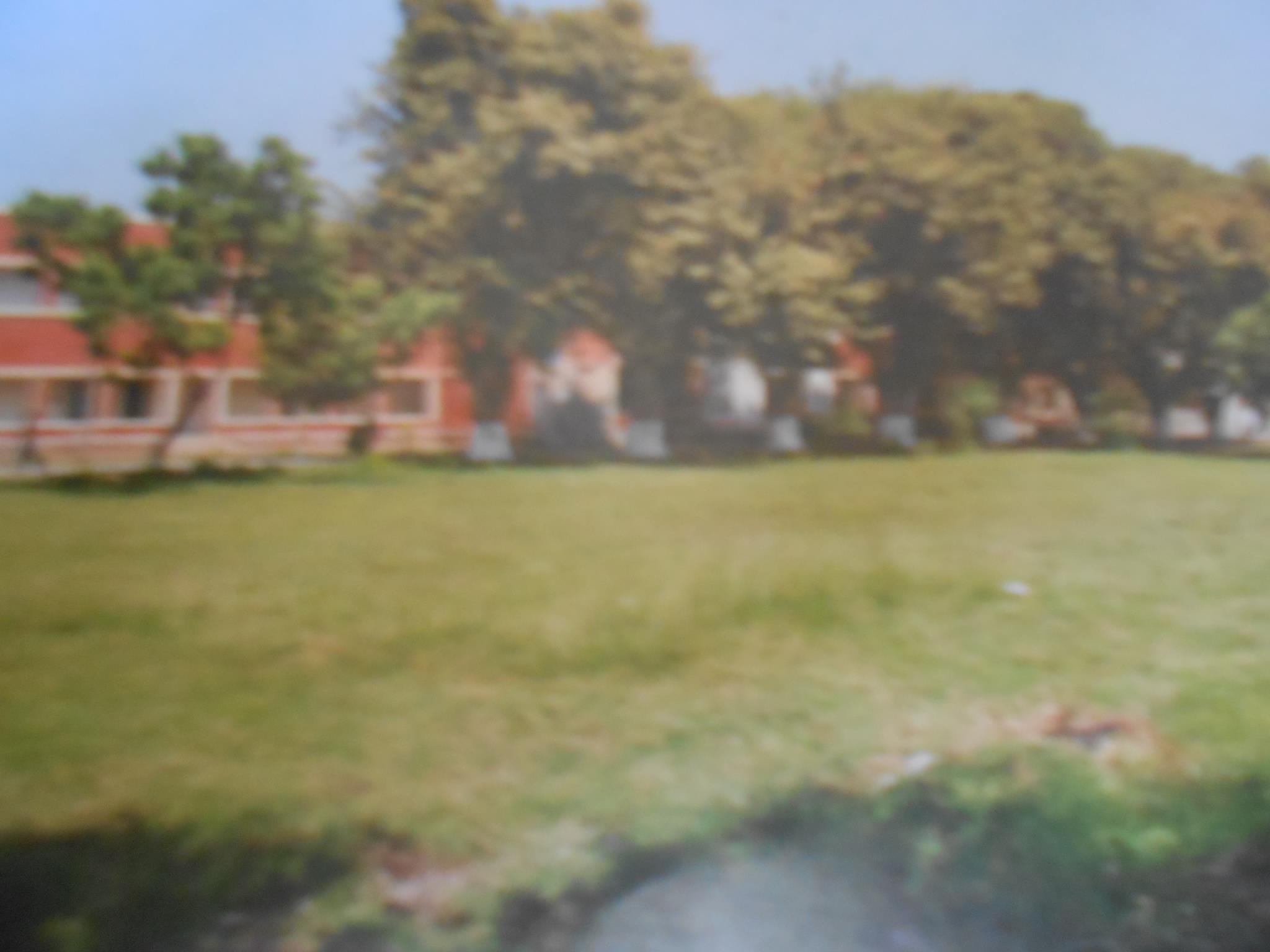 Govt Wilayat Hussain Degree College Multan | Allu Multan