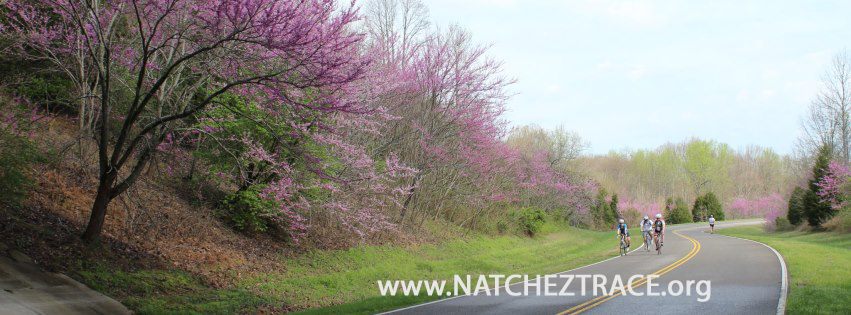Natchez Trace Travel - Mount Locust | Facebook