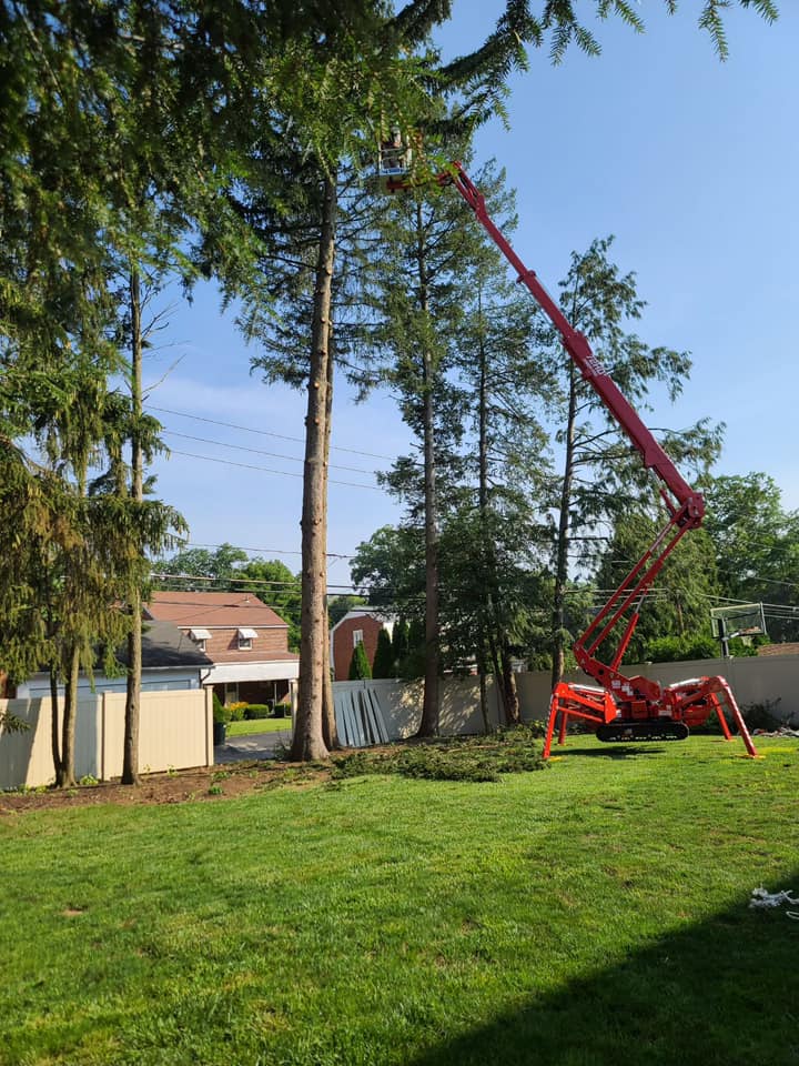 Northern Berks Tree Service