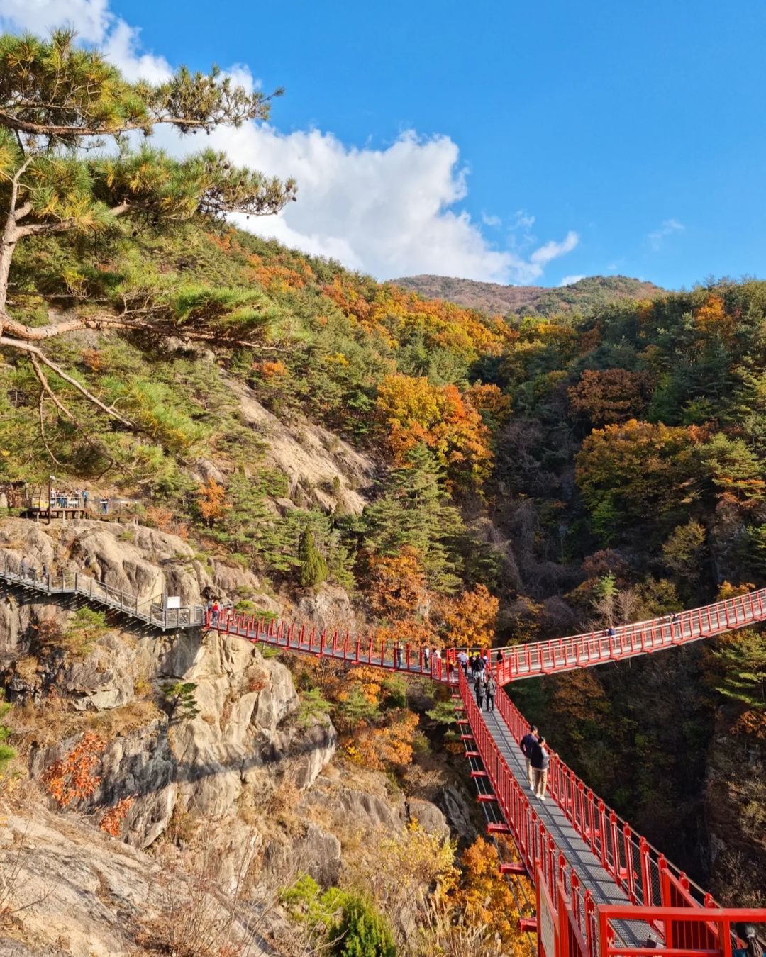 KoreaStation - #Gyeongsangnam Geochang Anti-Aging Healing... | Facebook