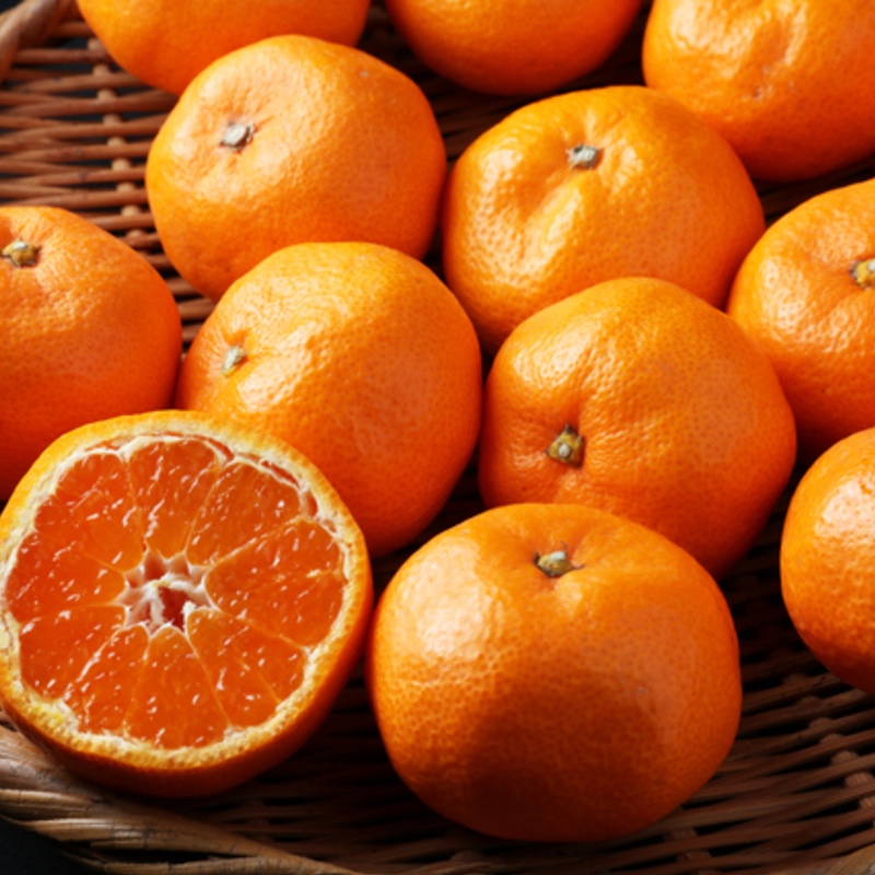 Food of the Week: みかん Mikan! 🍊 Mikan is a variety of Japanese