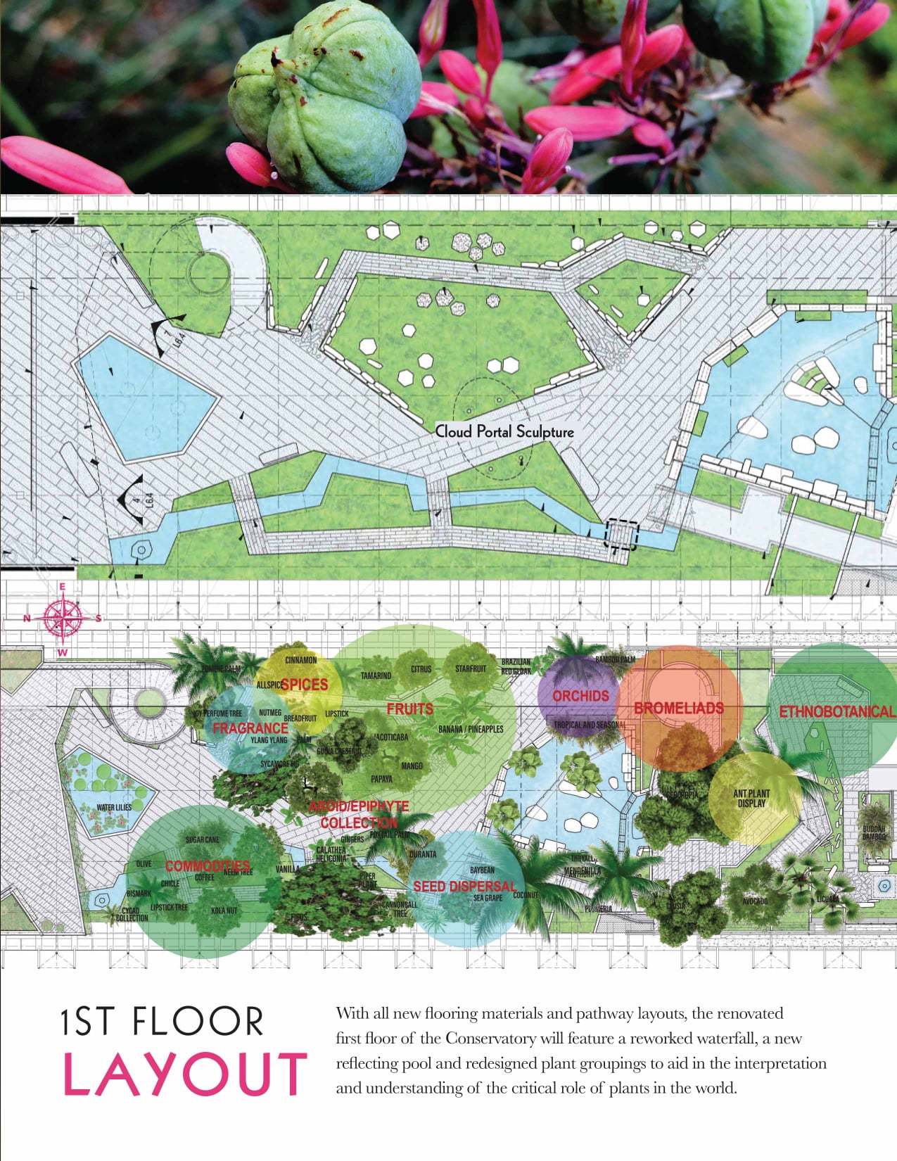 Myriad Botanical Gardens - 1st Floor Layout With all new flooring ...