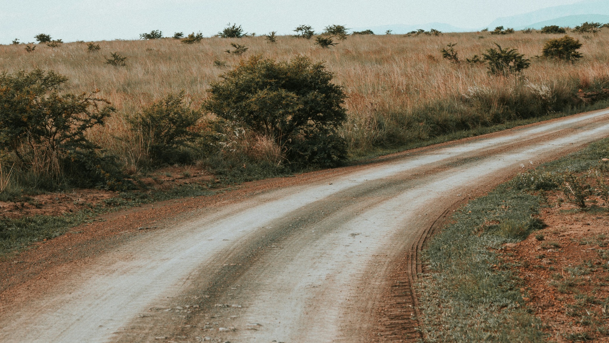 The Unpaved Road | Waco TX