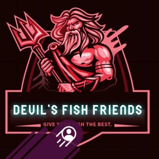 Tasmania fish and tanks | Where would one buy a axolotl from | Facebook