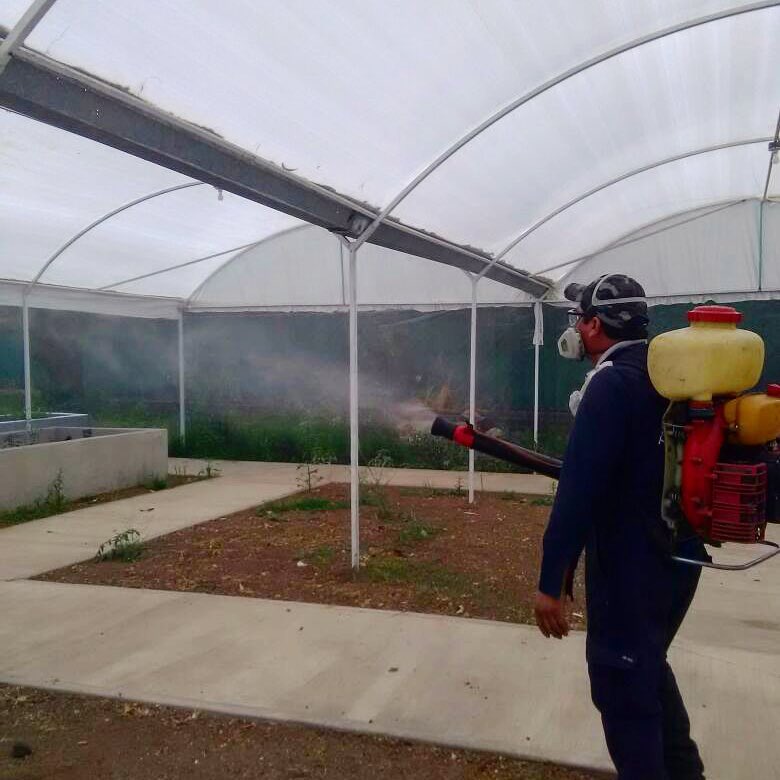 Target Pest Control | Puebla