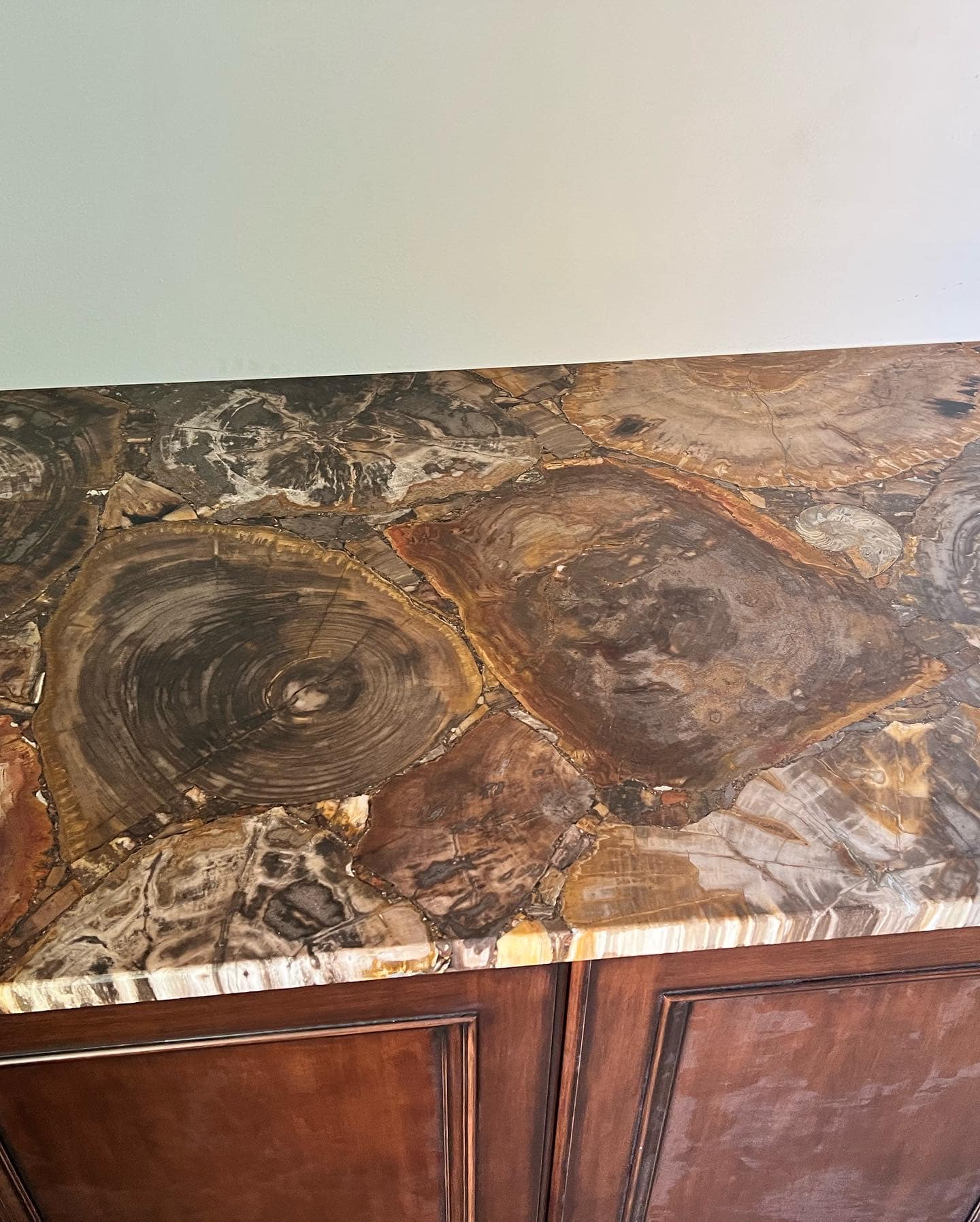 Petrified wood countertops! - The Granite Shop of Madison