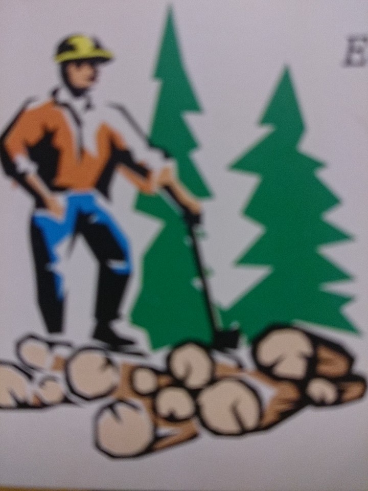 Tree fella 'Ned' tree surgeon | Barmouth