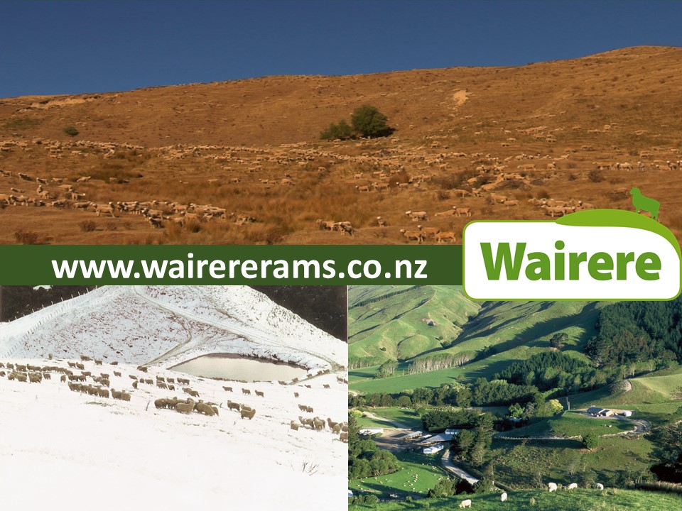 Wairere | Masterton