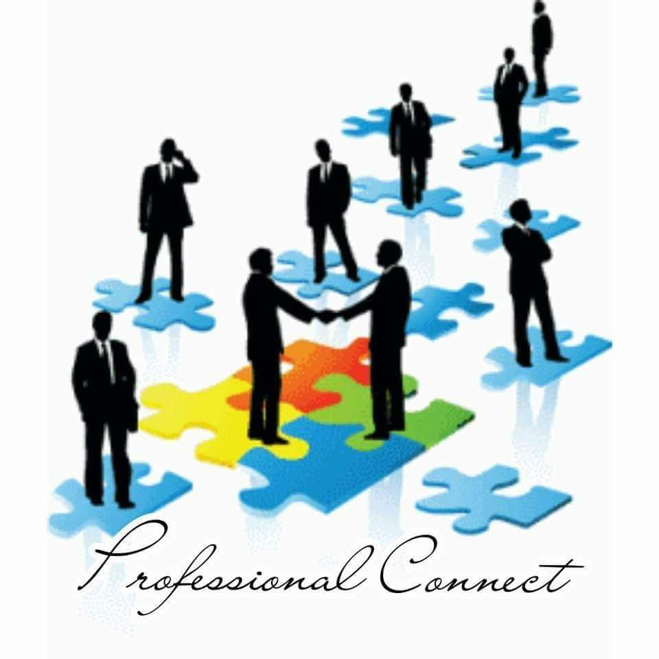 Professional Connect