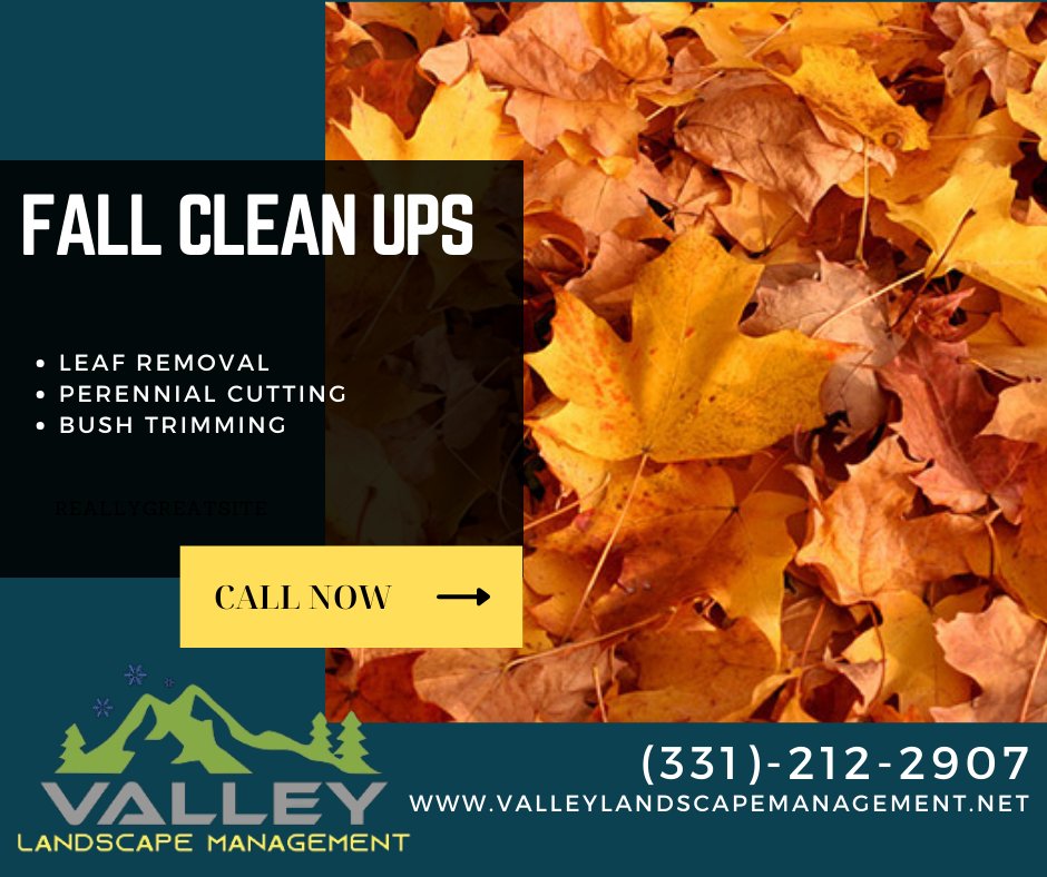 Valley - 🍁 Fall Leaf Clean-Ups by Valley Landscaping! 🍁 Is your yard ...
