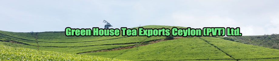 Ceylon Tea by Sinolan added a new... - Ceylon Tea by Sinolan