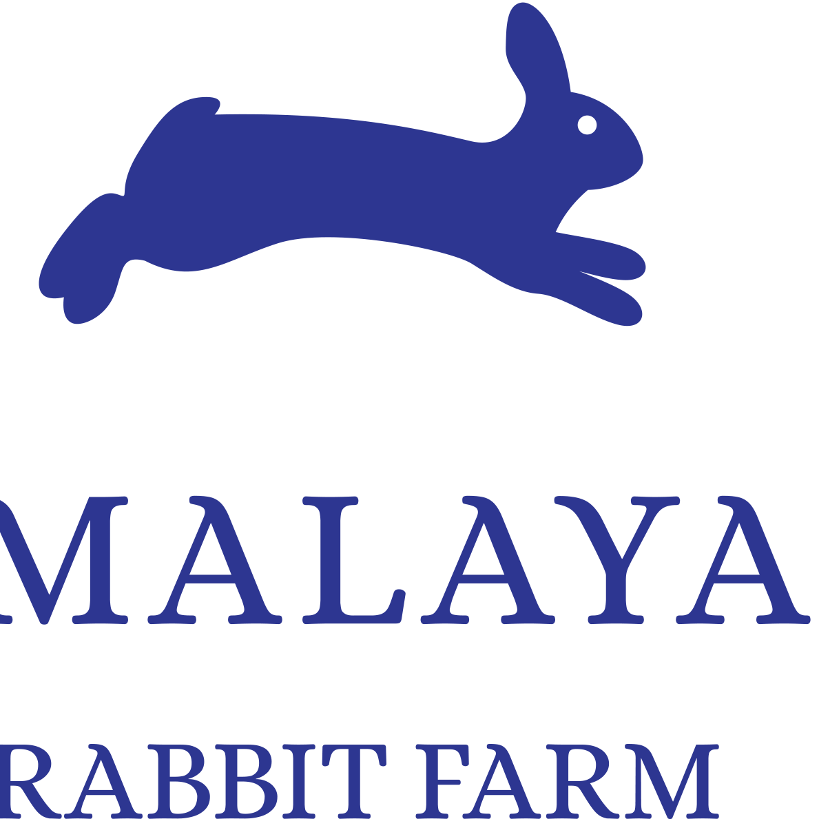 The Himalayan Rabbit Farm | Kathmandu
