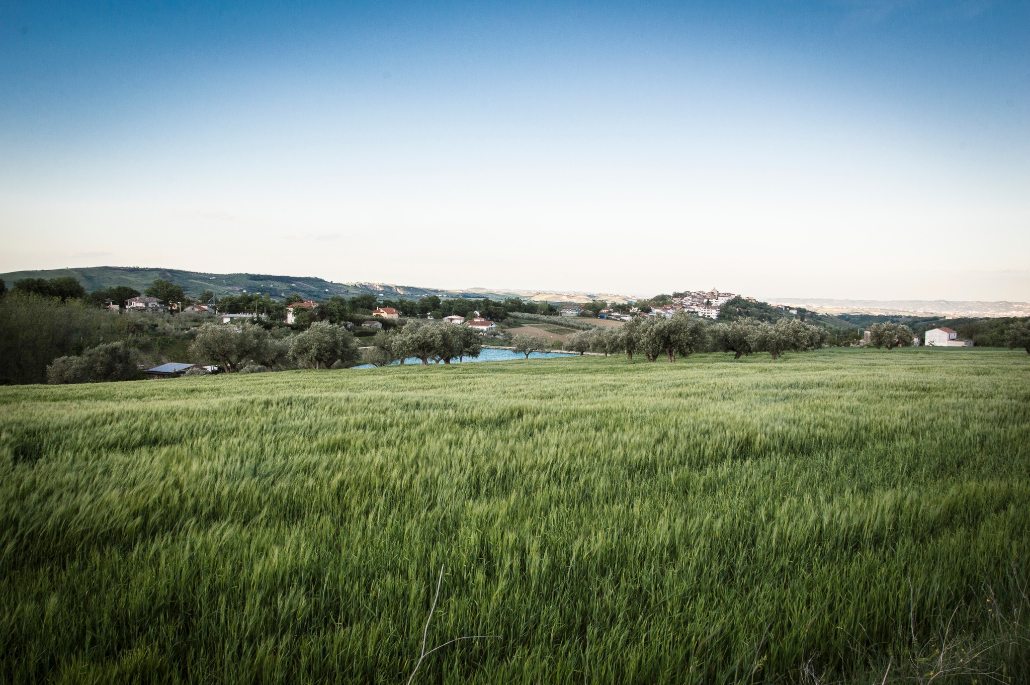 Terre sul Dirillo... - Terre sul Dirillo Società Agricola